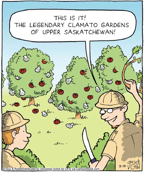 'This is it! The legendary clamato gardens of upper Saskatchewan.'