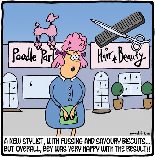 A new stylist, with fussing and savoury biscuits. . . but overall, Bev was very happy with the result!!