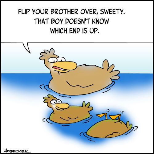 'Flip your brother over, sweety. The boy doesn't know which end us up.'