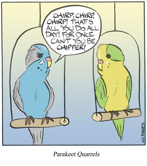 Parakeet Quarrels