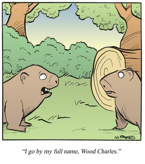 'I go by my full name, Wood Charles.'