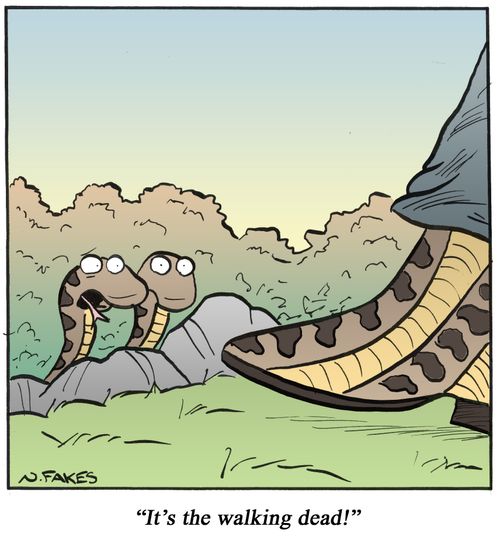 'It's the walking dead!'