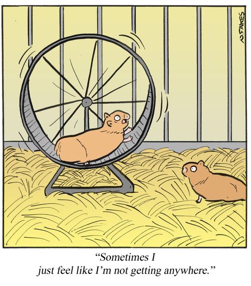 'Sometimes I just feel like I'm not getting anywhere.'