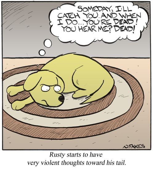 Rusty starts to have very violent thoughts toward his tail.