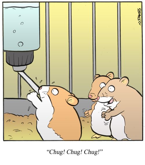 'Chug! Chug! Chug!'