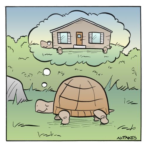 Turtle Home