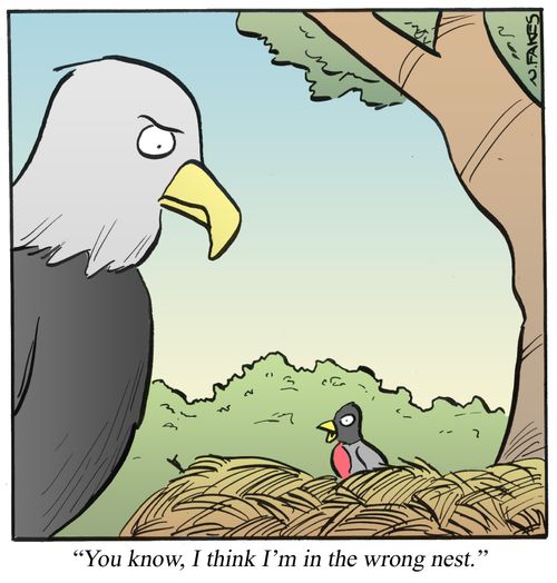 'You know, I think I'm in the wrong nest.'