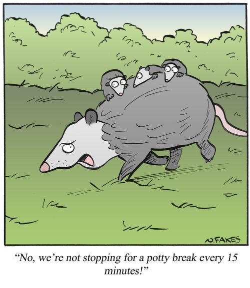 'No, we're not stopping for a potty break every 15 minutes!'