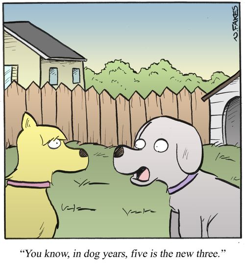 'You know, in dog years, five is the new three.'