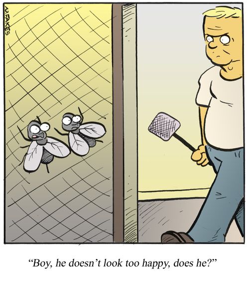 'Boy, he doesn't look too happy, does he?'