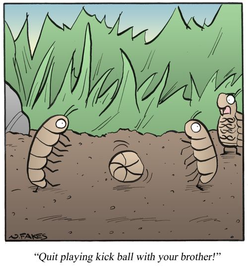 'Quit playing kick ball with your brother!'
