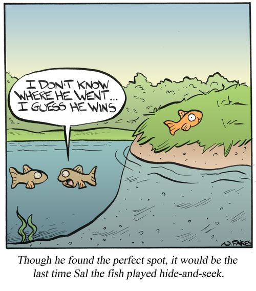 Though he found the perfect spot, it would be the last time Sal the fish played hide-and-seek.