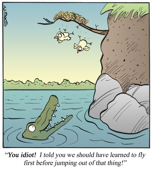 'You idiot! I told you we should have learned to fly first before jumping out of that thing!'