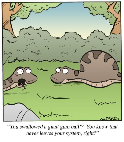 'You swallowed a giant gum ball!? You know that never leaves your system, right?'