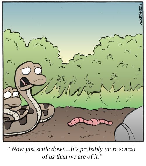 '. . .It's probably more scared of us than we are of it.'