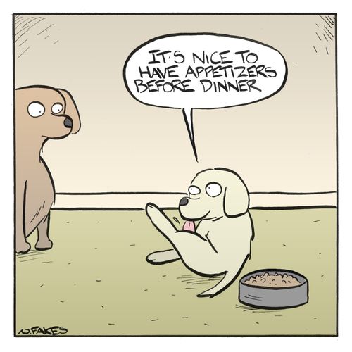 'It's nice to have appetizers before dinner.'