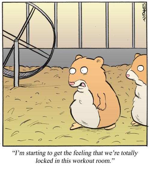 'I'm starting to get the feeling that we're totally locked in this workout room.'