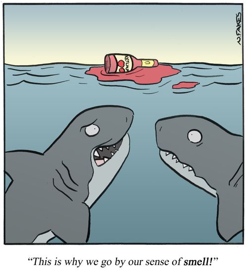 'This is why we go by our sense of smell!'