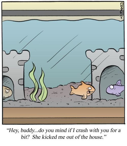 'Hey, buddy. . . do you mind if I crash with you for a bit? She kicked me out of the house.'