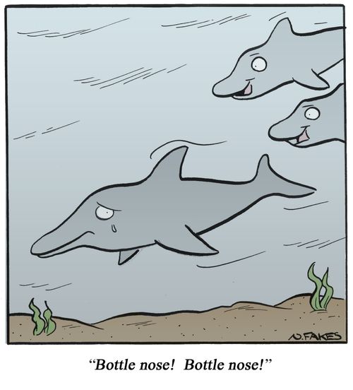 'Bottle nose!  Bottle nose!'