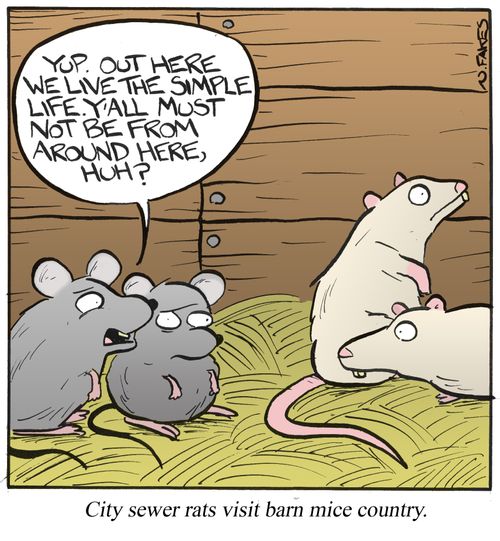 City sewer rats visit barn mice.