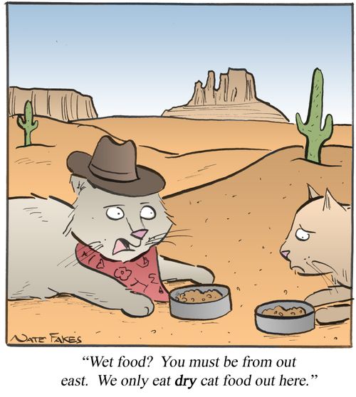 '...We only eat dry cat food out here.'