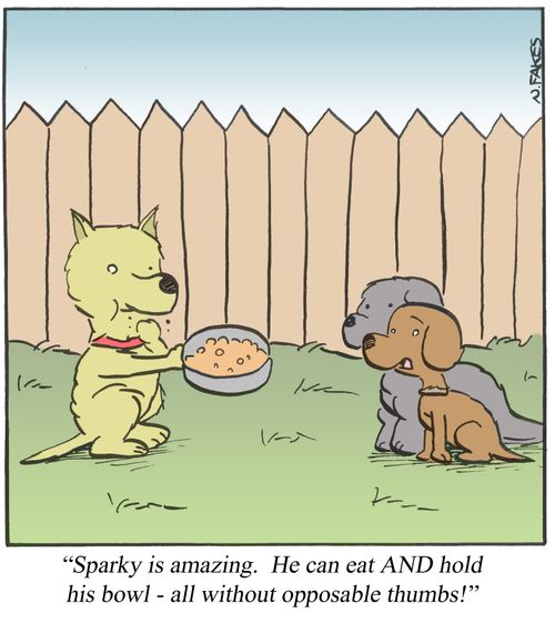'. . . He can eat AND hold his bowl - all without opposable thumbs!'