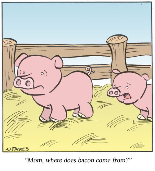 'Mom, where does bacon come from?'