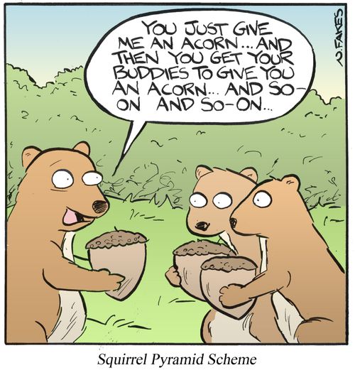 Squirrel Pyramid Scheme
