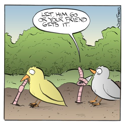 'Let him go or your friend gets it.'