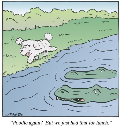 'Poodle again? But we just had that for lunch.'
