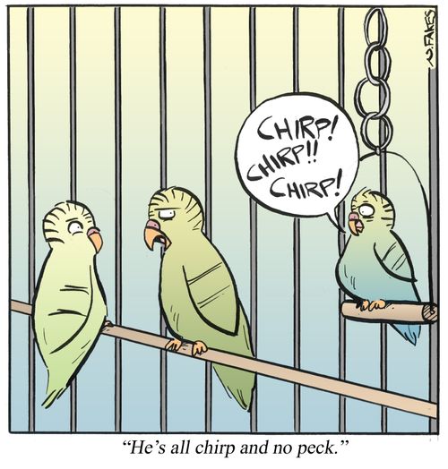 'He's all chirp and no peck.'