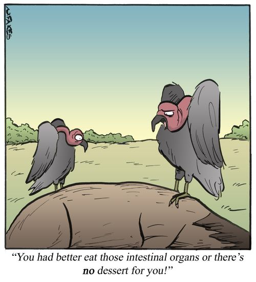 'You had better eat those intestinal organs or there's no dessert for you!'