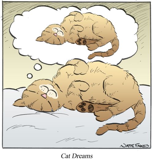 Cat Dreams