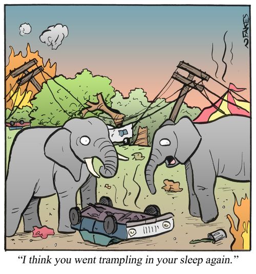 'I think you went trampling in your sleep again.'