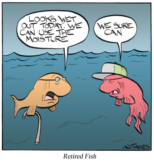 Retired Fish