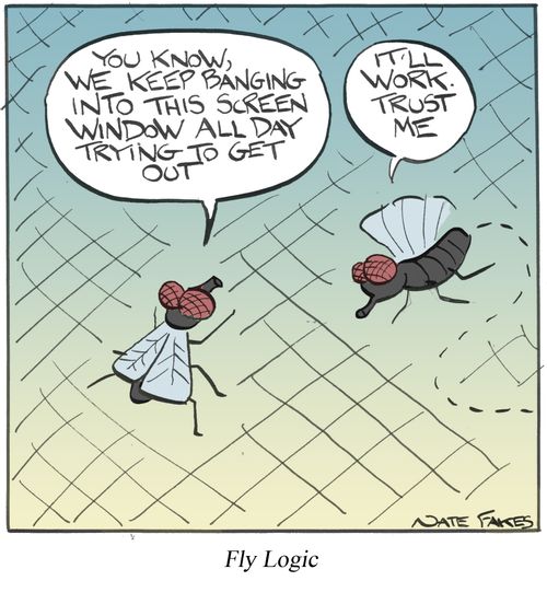 Fly Logic
