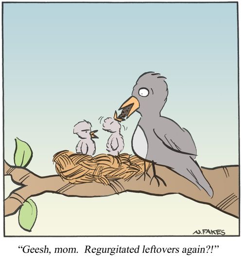 '....Regurgitated leftovers again?!'