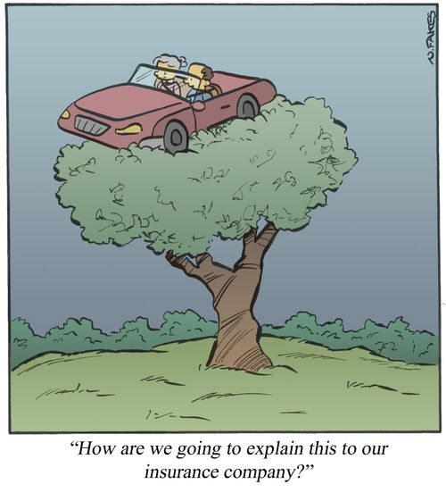 'How are we going to explain this to our insurance company?'