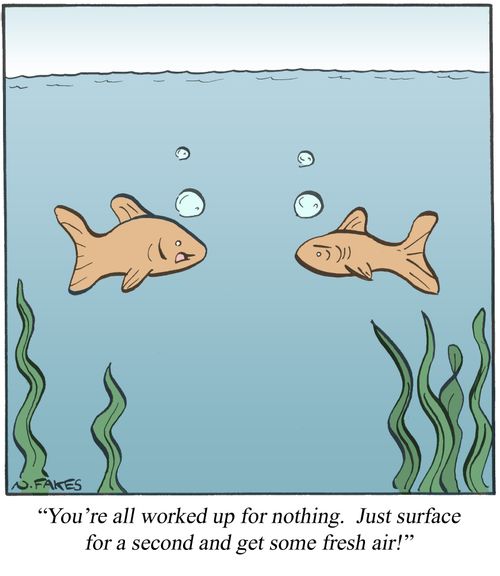 'You're all worked up for nothing. Just surface for a second and get some fresh air!'