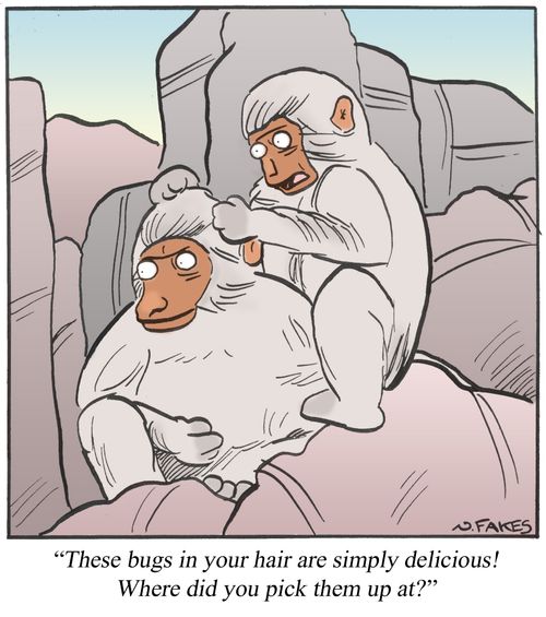 'These bugs ion your hair are simply delicious! where id you pick them up at?'