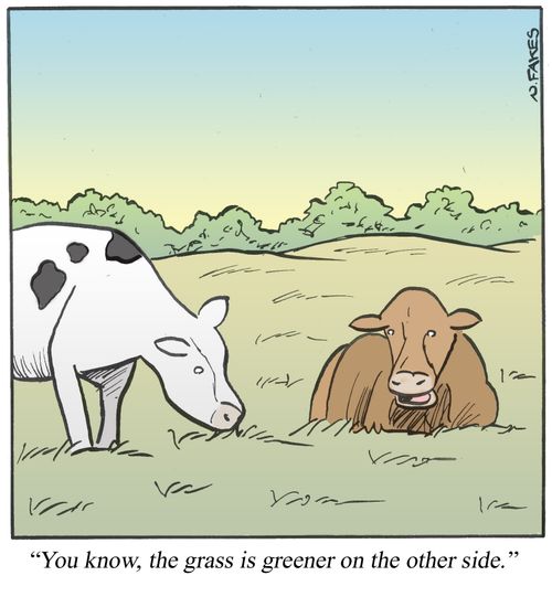 'You know, the grass is greener on the other side.'
