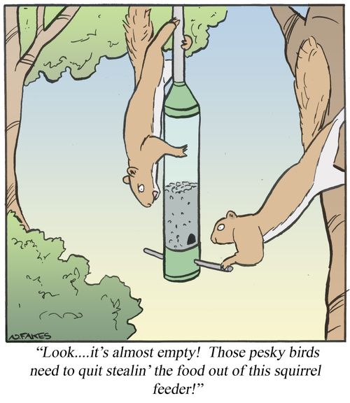 'Look...it's almost empty! Those pesky birds need to quit stealin' the food out of this squirrel feeder!'