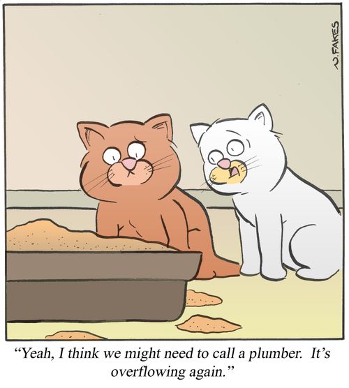 'Yeah, I think we might need to call a plumber. It's overflowing again.'