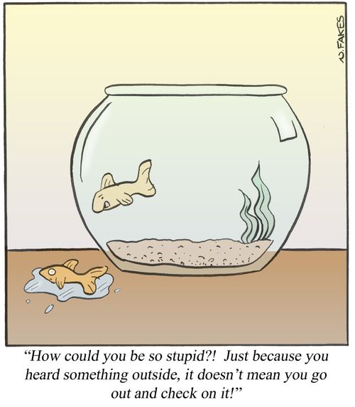 '....Just because you heard something outside, it doesn't mean you go out and check on it!'