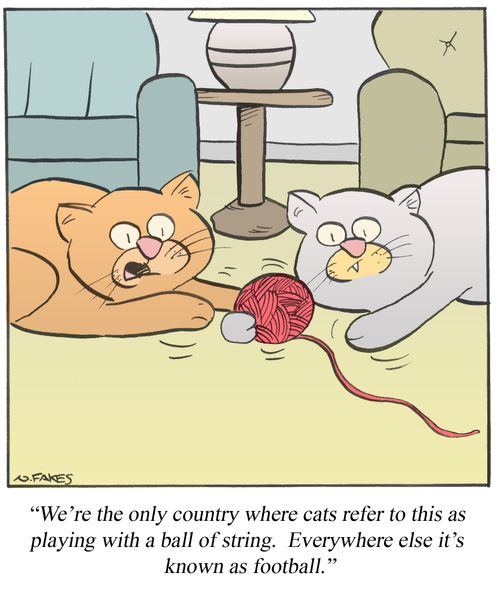 'We're the only country where cats refer to this as playing with a ball of string. Everywhere else it's known as football.'