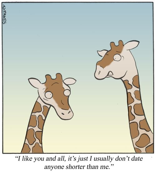 'I like you and all, it's just I usually don't date anyone shorter than me.'