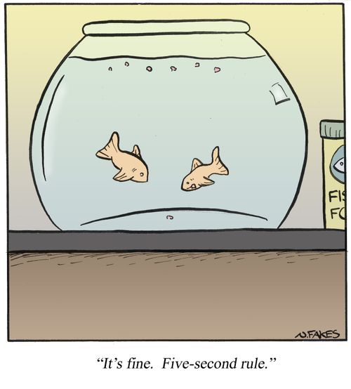 '...Five-second rule.'