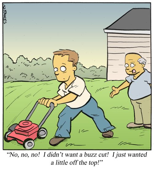 'No, no, no! I didn't want a buzz cut! I just wanted a little off the top!'