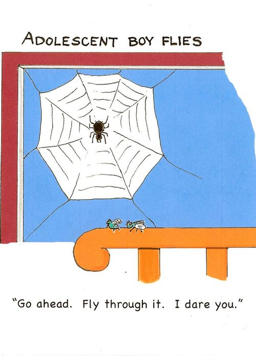 "Go ahead. Fly through it. I dare you."